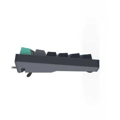клавиатура A4Tech Fstyler FS300 Panda Rock Черный-серый