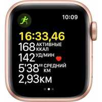 смарт часы Apple Watch SE MKQ03RU/A