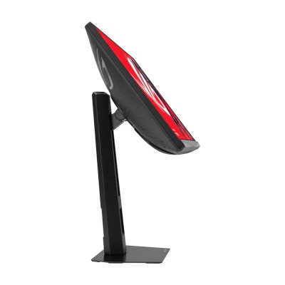 монитор ASUS ROG Strix XG248QSG Черный