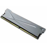 оперативная память BiwinTech DX500 B14BUAG53016ER-GAL