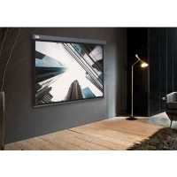 экран для проектора Cactus Wallscreen CS-PSW-183X244-SG