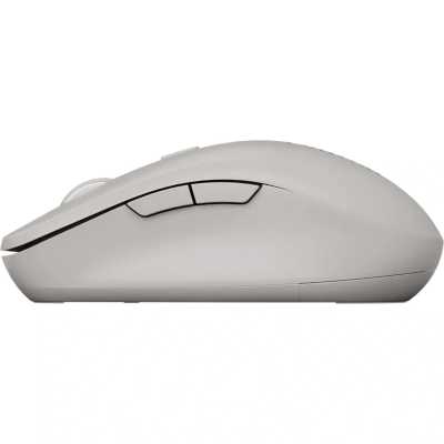 мышь Canyon MW-12 CNS-CMSW12DG Серый