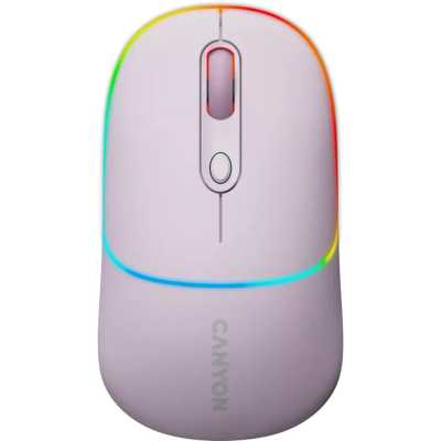 мышь Canyon MW-22 CNS-CMSW22PR Темно-серый