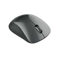мышь Canyon Pixart MW-11 CNE-CMSW11B Черный