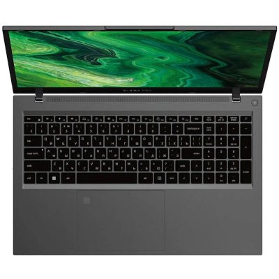 ноутбук Digma Pro Fortis M DN17P3-ADXW04 Серый