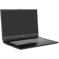ноутбук Dream Machines RG3050-17EU36 Черный