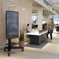 мобильная стойка Ergotron Neo-Flex MediaCenter 24-190-085