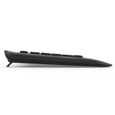 клавиатура ExeGate Professional Standard LY-E5500M EX296922RUS Черный