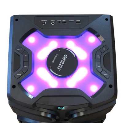 колонка Ginzzu GM-203 Black