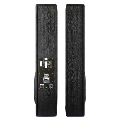 колонки Ginzzu GM-326 Black