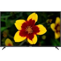 телевизор Hartens HTV-55F01-TS2C-A7