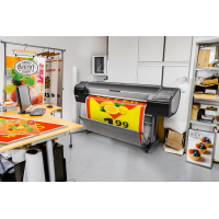 плоттер HP DesignJet Z5600 PostScript T0B51A