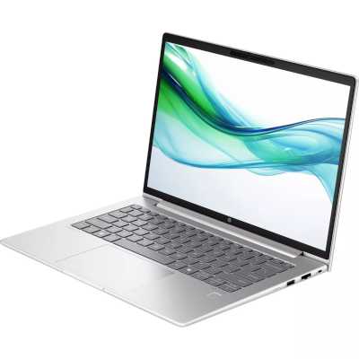 ноутбук HP ProBook 445 G11 8Z9P6AV-wpro Серебристый