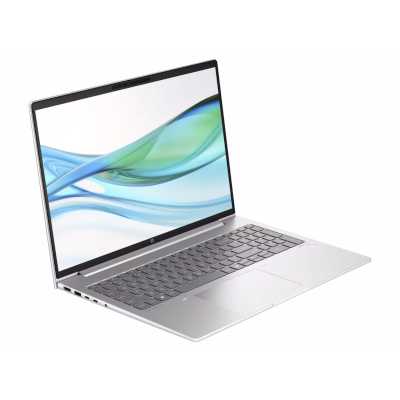 ноутбук HP ProBook 465 G11 901H4AV Серебристый