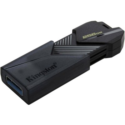 флешка Kingston 256GB DTXON/256GB Черный