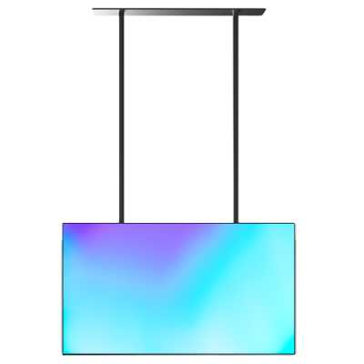 профессиональный дисплей Lumien High Brightness LWS4901FHD