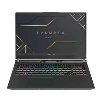 ноутбук Lyambda LLT161M01VXMR_SG Серый