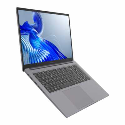 ноутбук Maibenben P725 P7251SF0LGRE0 Серый