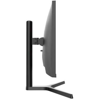 монитор NPC MZ300L Черный