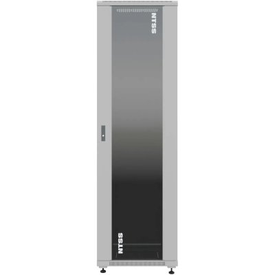 телекоммуникационный шкаф NTSS Премиум NTSS-R42U6060GS Серый