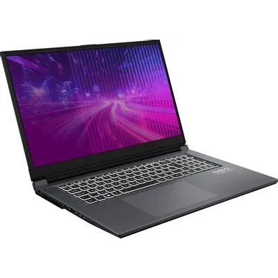 ноутбук OSiO CyberLine C170i-003-wpro Темно-Серый
