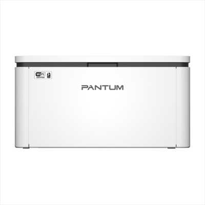 принтер Pantum BP2300NW Белый