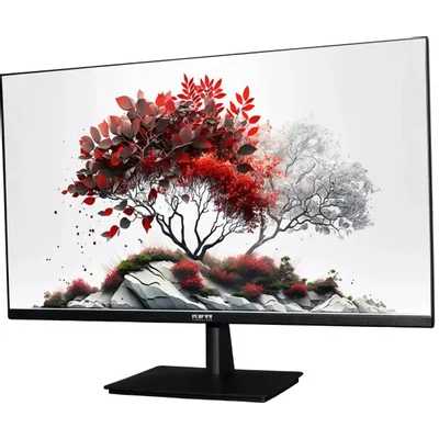 монитор RDW Computers RDW2701K F00В0100V2A1 Черный