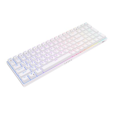 клавиатура Royal Kludge RK100 6935280813603 Белый