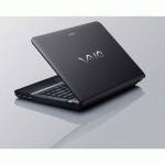 ноутбук Sony Vaio VPC-EA3M1RBJ Черный