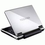 нетбук Toshiba NB100-10X