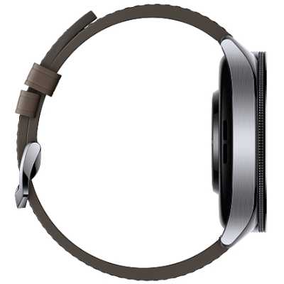 смарт часы Xiaomi Watch 2 Pro Silver BHR7216GL
