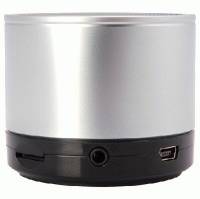 колонка Zalman ZM-S500 Черно-серебристый